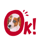 マイロ店長:1（個別スタンプ：2）