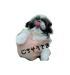かわいいあんこちゃん（個別スタンプ：3）