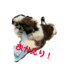 かわいいあんこちゃん（個別スタンプ：7）