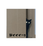黒ネコstamp（個別スタンプ：8）