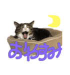 成田さん家（個別スタンプ：1）
