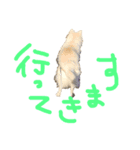 成田さん家（個別スタンプ：3）