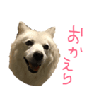 成田さん家（個別スタンプ：4）