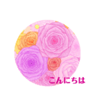 薔薇色彩あいさつ（個別スタンプ：1）