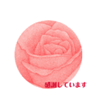 薔薇色彩あいさつ（個別スタンプ：3）