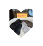 ねねちゃんと子供たち（個別スタンプ：6）