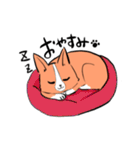 毎日使えるコーギーの日常スタンプ（個別スタンプ：16）