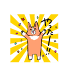毎日使えるコーギーの日常スタンプ（個別スタンプ：20）