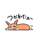 毎日使えるコーギーの日常スタンプ（個別スタンプ：29）