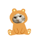 うちの可愛い猫ちゃんです（個別スタンプ：6）