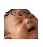 ておべび（個別スタンプ：3）