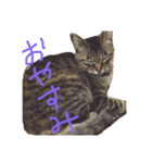 大好きな家族達（個別スタンプ：5）