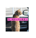 ！レオさん！（個別スタンプ：5）