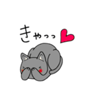 猫藤さんの毎日スタンプ（個別スタンプ：40）