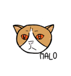 毎日使えるローマ字ことば1（個別スタンプ：31）
