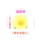 1月、誕生日の花  花言葉付き（個別スタンプ：1）