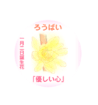1月、誕生日の花  花言葉付き（個別スタンプ：2）