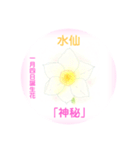 1月、誕生日の花  花言葉付き（個別スタンプ：4）