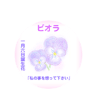 1月、誕生日の花  花言葉付き（個別スタンプ：6）