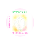1月、誕生日の花  花言葉付き（個別スタンプ：7）
