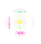 1月、誕生日の花  花言葉付き（個別スタンプ：9）