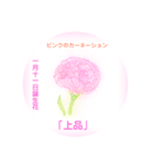 1月、誕生日の花  花言葉付き（個別スタンプ：11）