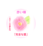 1月、誕生日の花  花言葉付き（個別スタンプ：12）