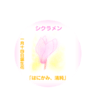 1月、誕生日の花  花言葉付き（個別スタンプ：14）