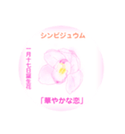 1月、誕生日の花  花言葉付き（個別スタンプ：17）
