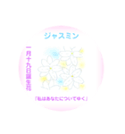 1月、誕生日の花  花言葉付き（個別スタンプ：19）