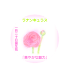 1月、誕生日の花  花言葉付き（個別スタンプ：20）