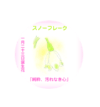 1月、誕生日の花  花言葉付き（個別スタンプ：23）