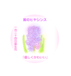 1月、誕生日の花  花言葉付き（個別スタンプ：24）