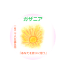 1月、誕生日の花  花言葉付き（個別スタンプ：28）