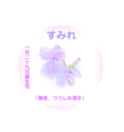 1月、誕生日の花  花言葉付き（個別スタンプ：29）