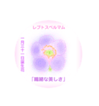 1月、誕生日の花  花言葉付き（個別スタンプ：31）