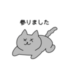 ねこちゃんたちのあいさつスタンプ（個別スタンプ：28）
