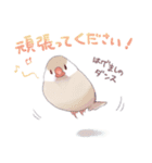 ていねいな毎日文鳥（個別スタンプ：14）