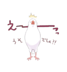 ていねいな毎日文鳥（個別スタンプ：21）