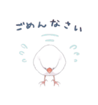 ていねいな毎日文鳥（個別スタンプ：24）