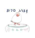 ていねいな毎日文鳥（個別スタンプ：34）