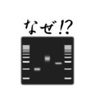 コロニー PCR法 スタンプ（個別スタンプ：9）