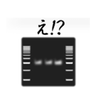 コロニー PCR法 スタンプ（個別スタンプ：11）