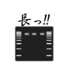 コロニー PCR法 スタンプ（個別スタンプ：17）
