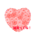 薔薇色スタンプ（個別スタンプ：4）