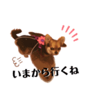 kazubaby.STAMP（個別スタンプ：1）