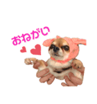 kazubaby.STAMP（個別スタンプ：2）