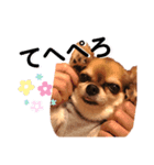 kazubaby.STAMP（個別スタンプ：3）