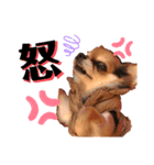 kazubaby.STAMP（個別スタンプ：5）