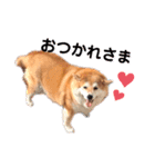 kazubaby.STAMP（個別スタンプ：8）
